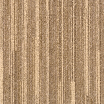 SQPRO リーズ シンコール