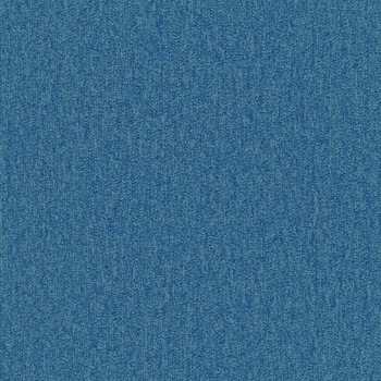 SQPRO ハイテック シンコール