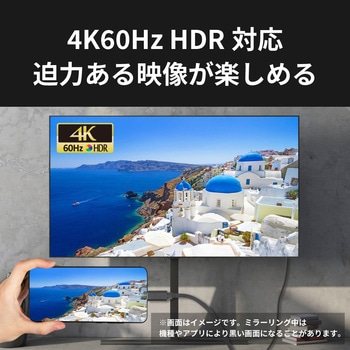 USB Type-C to HDMI 変換ケーブル(PD対応・2m) ラトックシステム