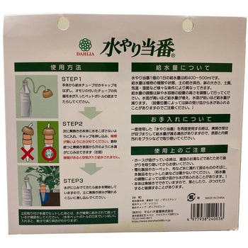 水やり当番 ダリヤ