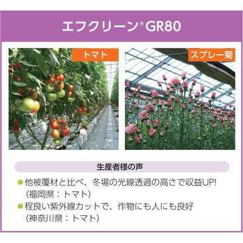エフクリーン GR80流滴 AGCグリーンテック