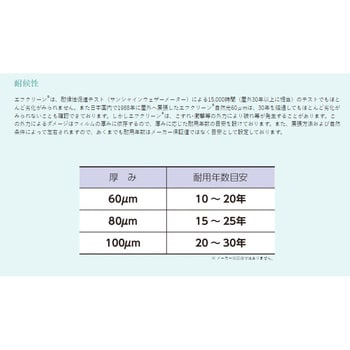 エフクリーン自然光 厚み0.1mm×幅110cm×長さ50m : 日本農業