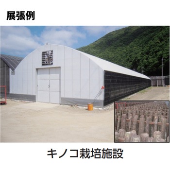 エフクリーン ソフトシャイン AGCグリーンテック