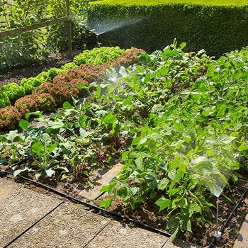 マイクロドリップ散水システム スターターセット 花壇 菜園用 スプレーノズル付き 13015-20 GARDENA(ガルデナ)