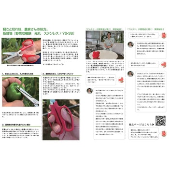 野菜収穫鋏 アルス