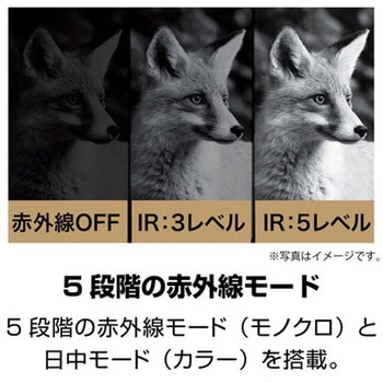 撮影機能付き赤外線暗視カメラ Kenko(ケンコートキナー)