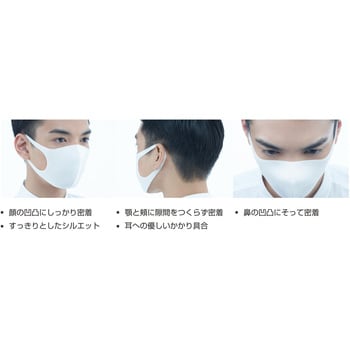 158108 PITTA MASK(ピッタ・マスク)REGULAR アラクス(ARAX) レギュラーサイズ 1袋(3枚) - 【通販モノタロウ】