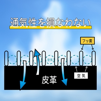 アメダス コロンブス(COLUMBUS)