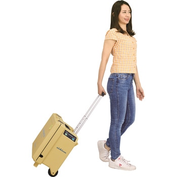 パワームーバーライト - ニチコン