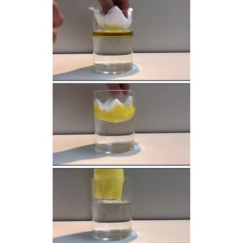 ノア リポフィリワイプ ノア