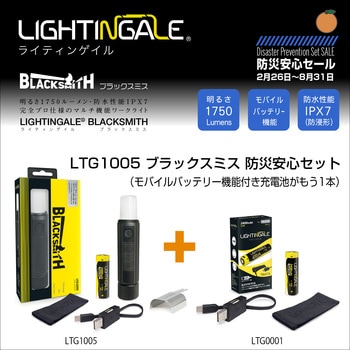 プロ仕様マルチワークライト ブラックスミス+スペア充電池セット ライティンゲイル