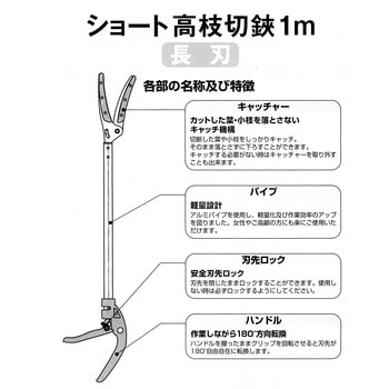 高枝切鋏 WIZ'A