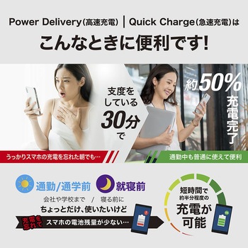 USB C to Lightning ケーブル やわらかいソフトタイプ 京ハヤ