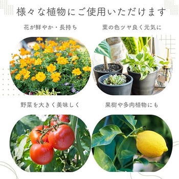 水で薄める有機液肥 150ml 日東エフシー