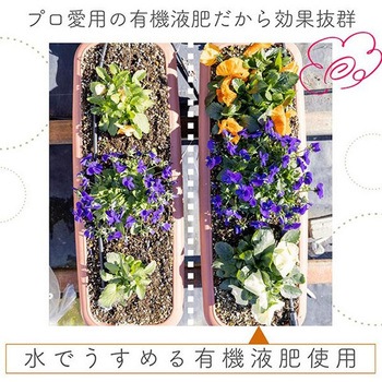 水で薄める有機液肥 400ml詰替 日東エフシー