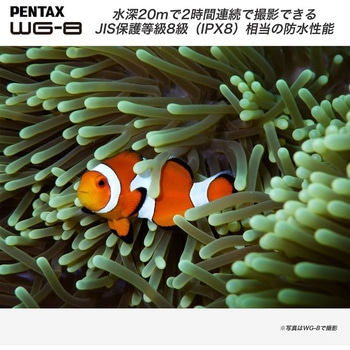 防水防塵デジタルカメラ PENTAX WG-8 PENTAX(ペンタックス)