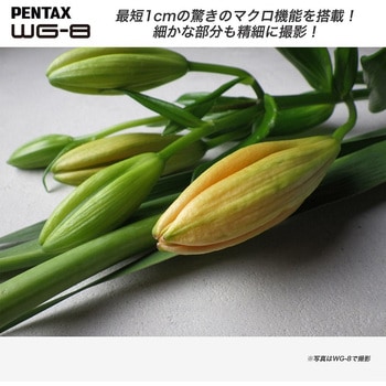 防水防塵デジタルカメラ PENTAX WG-8 PENTAX(ペンタックス)