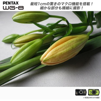 防水防塵デジタルカメラ PENTAX WG-8 PENTAX(ペンタックス)