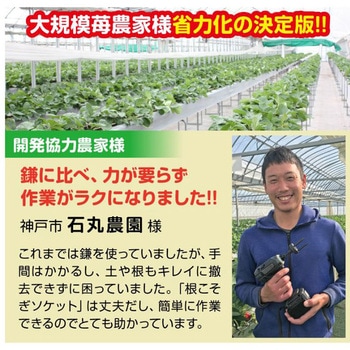 ビット交換式 根こそぎソケット 土牛