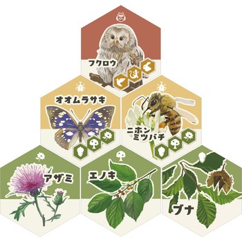 生態系ボードゲーム(エコピラ) ナリカ