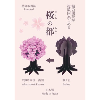 工作キット 桜の都