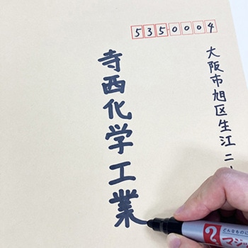 マジックインキ No.670 丸太字 パック 寺西化学