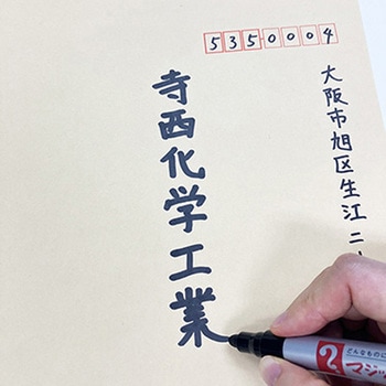 マジックインキ No.670 丸太字 パック 寺西化学
