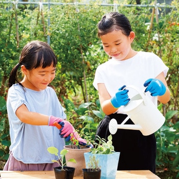 天然ゴム背抜き手袋 WITHGARDEN KIDS トワロン