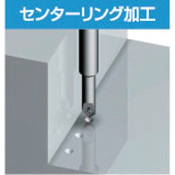 ナイスカット用チップ チップ 富士元工業