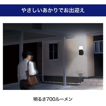 ホームマークライト スクエアタイプ 2WAY仕様(電源直結式・コード式) 赤外線受動式  調色可能 リモコン付 ELPA