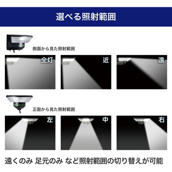 ホームマークライト カーブタイプ 2WAY仕様(電源直結式・コード式) 赤外線受動式  調色可能 リモコン付 ELPA