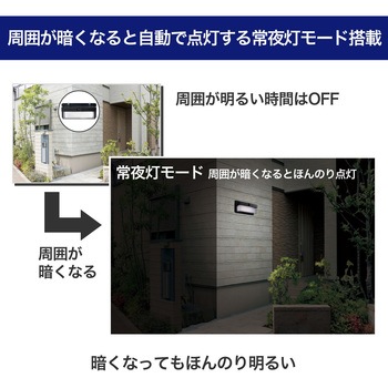 二重構造ウォールライト 大型 玄関 ソーラー発電 広範囲照射タイプ 調色可能 屋外 防水仕様(IP65) 明暗人感センサー ELPA