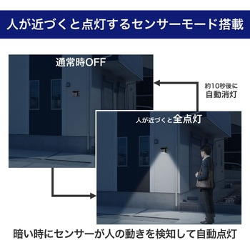 ステンレスウォールライト 小型 玄関 明暗人感センサー ソーラー発電 屋外 防水使用(IPX4) ステンレスボディ ELPA