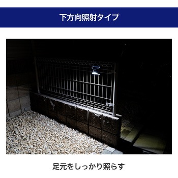 ステンレスウォールライト 小型 玄関 明暗人感センサー ソーラー発電 屋外 防水使用(IPX4) ステンレスボディ ELPA