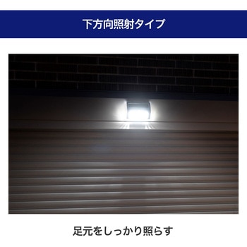 ステンレスウォールライト 薄型 玄関 明暗人感センサー ソーラー発電 屋外 防水使用(IPX4) ステンレスボディ ELPA