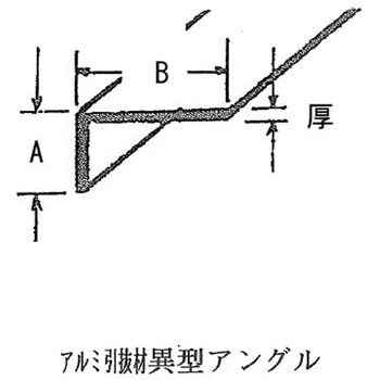 異型アングル イーグル