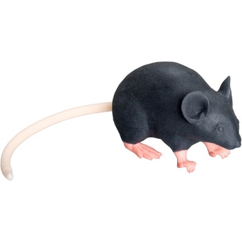 マウス型実験動物シミュレーター”Mimicky Mouse” 三高サプライ