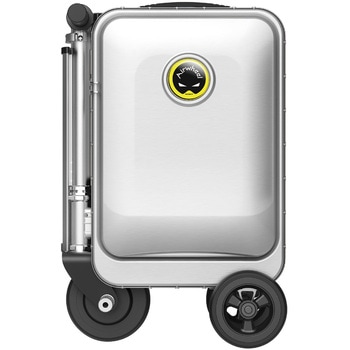 SE3S-SV Airwheel ROBOT dX}[gX[cP[X SE3Sf TtC e20L Vo[F 79942679