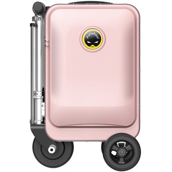 SE3S-PI Airwheel ROBOT dX}[gX[cP[X SE3Sf TtC e20L sNF 79942688