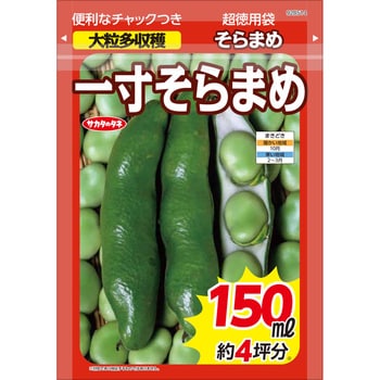 一寸そら豆【超徳用】 1袋 サカタのタネ 【通販モノタロウ】