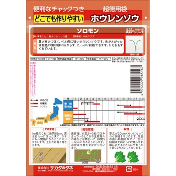 ほうれん草 ソロモン【超徳用】 サカタのタネ