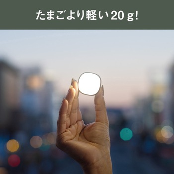 充電式 護衛さんライト チャコールグレー ムサシ