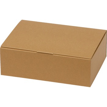 EE-555 �u�b�N�� ���D��BOX ���}�j�p�b�P�[�W �N���t�g�F �`��1���g���� 6 �����T�C�Y 1�P�[�X(100��) EE-555 80184748