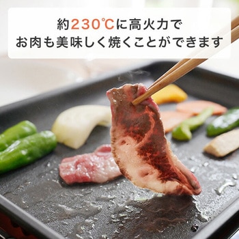 ホットプレート たこ焼きプレート&平面プレート コンパクト YAMAZEN(山善)