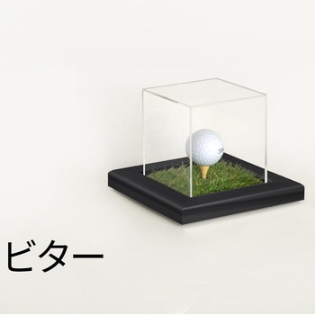 ゴルフボールケース アルナ