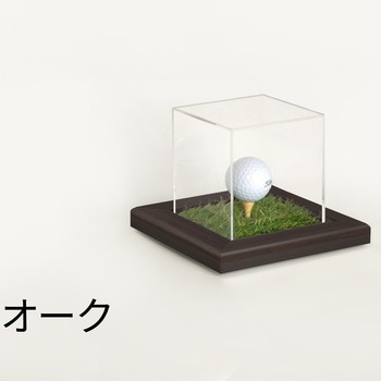 ゴルフボールケース アルナ