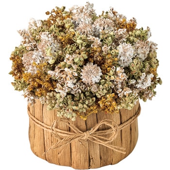 ティンパードライポット MAGIQ(東京堂)