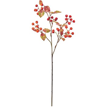 FM002636-003 �R���[�k���[�Y�q�b�v MAGIQ(������) ������ �x���[(���ʎ�) 80187548