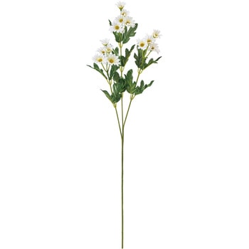 新小菊 MAGIQ(東京堂)