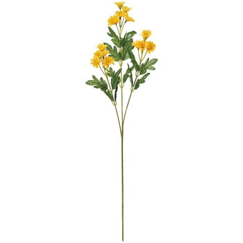 新小菊 MAGIQ(東京堂)
